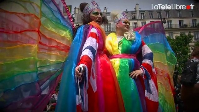 MARCHE DES FIERTÉS - PARIS 29 JUIN 2013