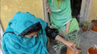 Girls High School, Bela Noorshah, Muzaffarabad.