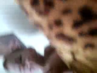 Всем хейтерам