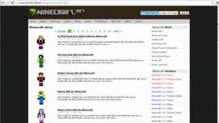 Blank Flank Flutters Skin for Minecraft