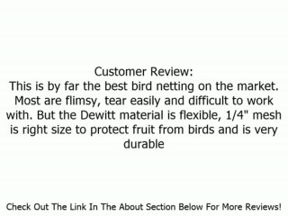 Dewitt 14-Foot by 14-Foot Bird Barricade Deluxe Netting 1/4-Inch Mesh BB1414DLX Review