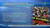 Cafeteros colombianos anuncian paro nacional el 19 de agosto