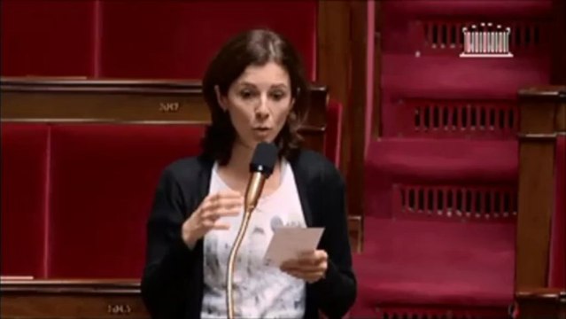 Amendement mandat unique - Non-cumul des mandats - 4 juillet 2013