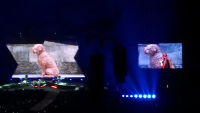 Depeche Mode Tour 2013 - Esprit Arena Dusseldorf 1