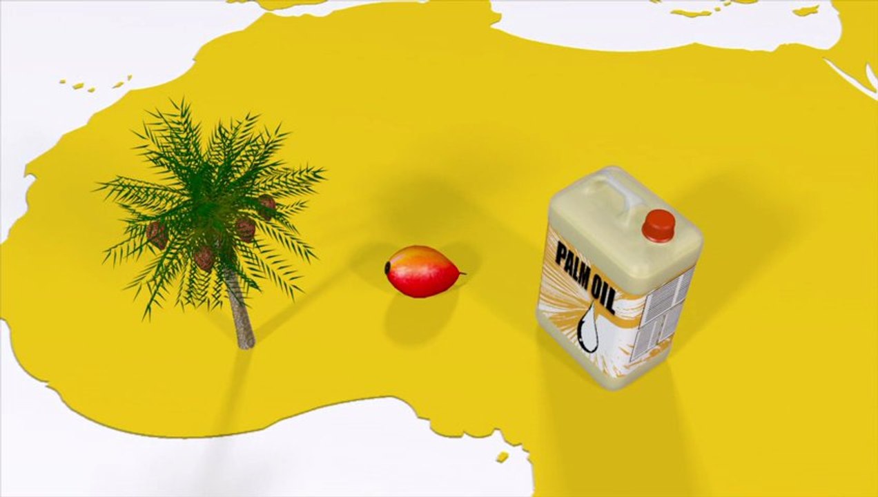 Palm oil
