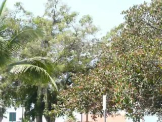 MAUI, HAWAII 2013  032