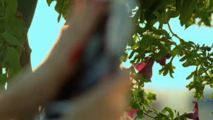 Gold AG ft. Beatrix Ramosaj - Sa Vite (Official Video HD)