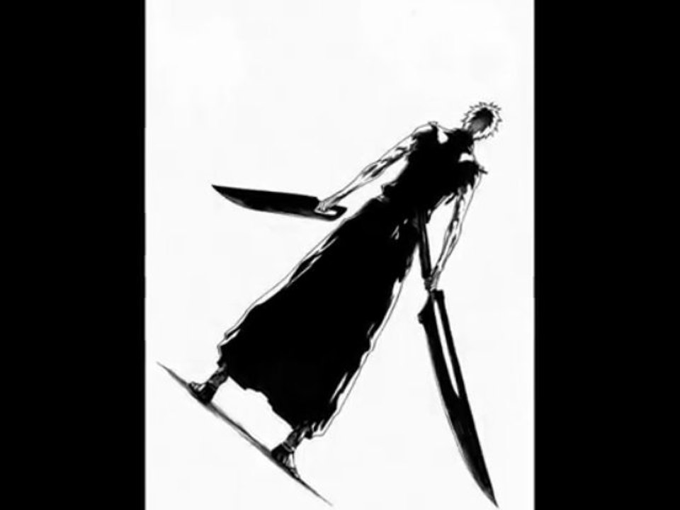 Shinigami Ichigo and Quincy Uryuu