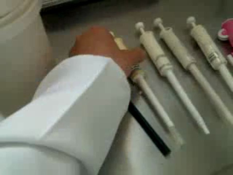 Portapipetas