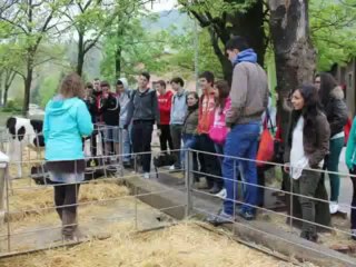 Comiat Grau Mig Gestió Administrativa