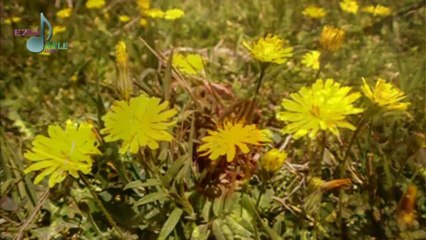 Murat Yaman - Kaldı [ezgi-dinle.com]