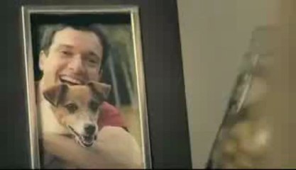 Campanha Doação de Órgãos