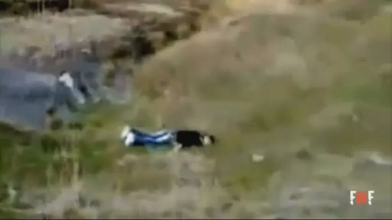 VLdesignsFunny40 bonno van der putten boomstam