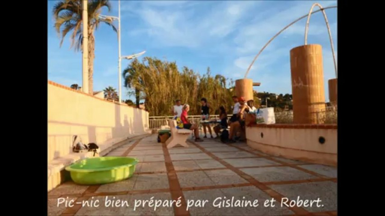 Entrainement canicross Randocabo au Pradet