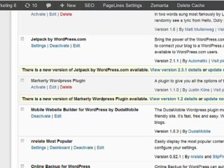 How To Make Your Blog Mobile Friendly With Duda Mobile