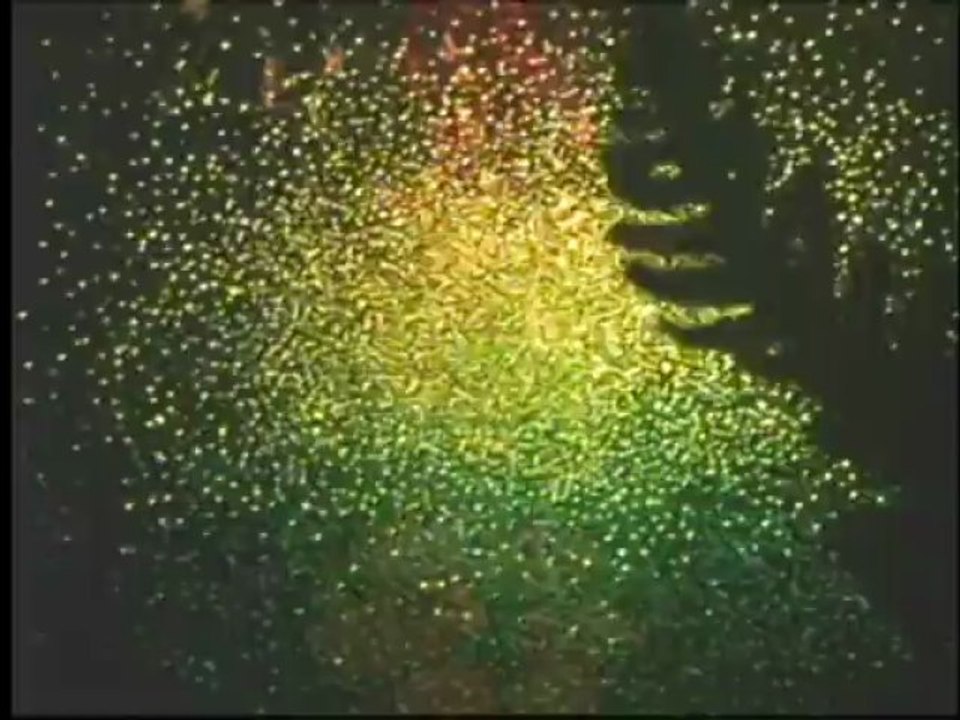 Fantasia Review