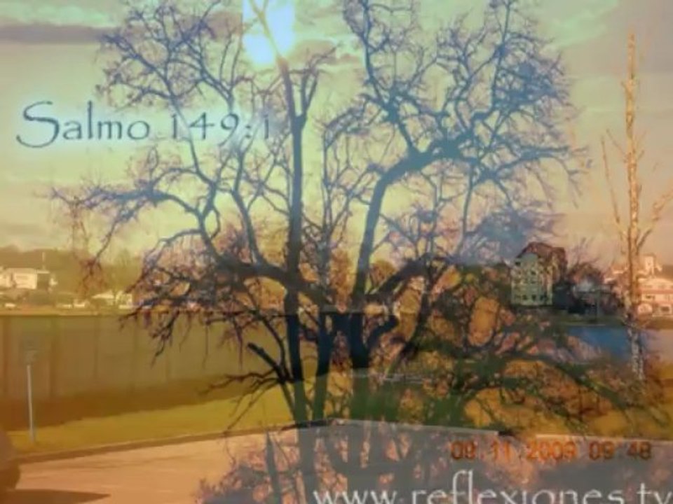 NO  BASTA (JUAN  CARLOS  ALVARADO) 21(11-11-09)