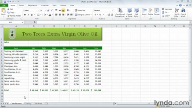 0101 Exploring three common uses for Excel