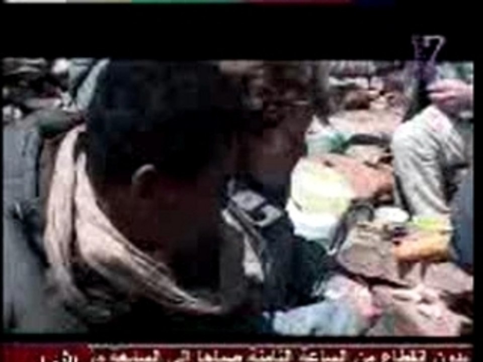 Association les Amis des Oiseaux Cap-Bon