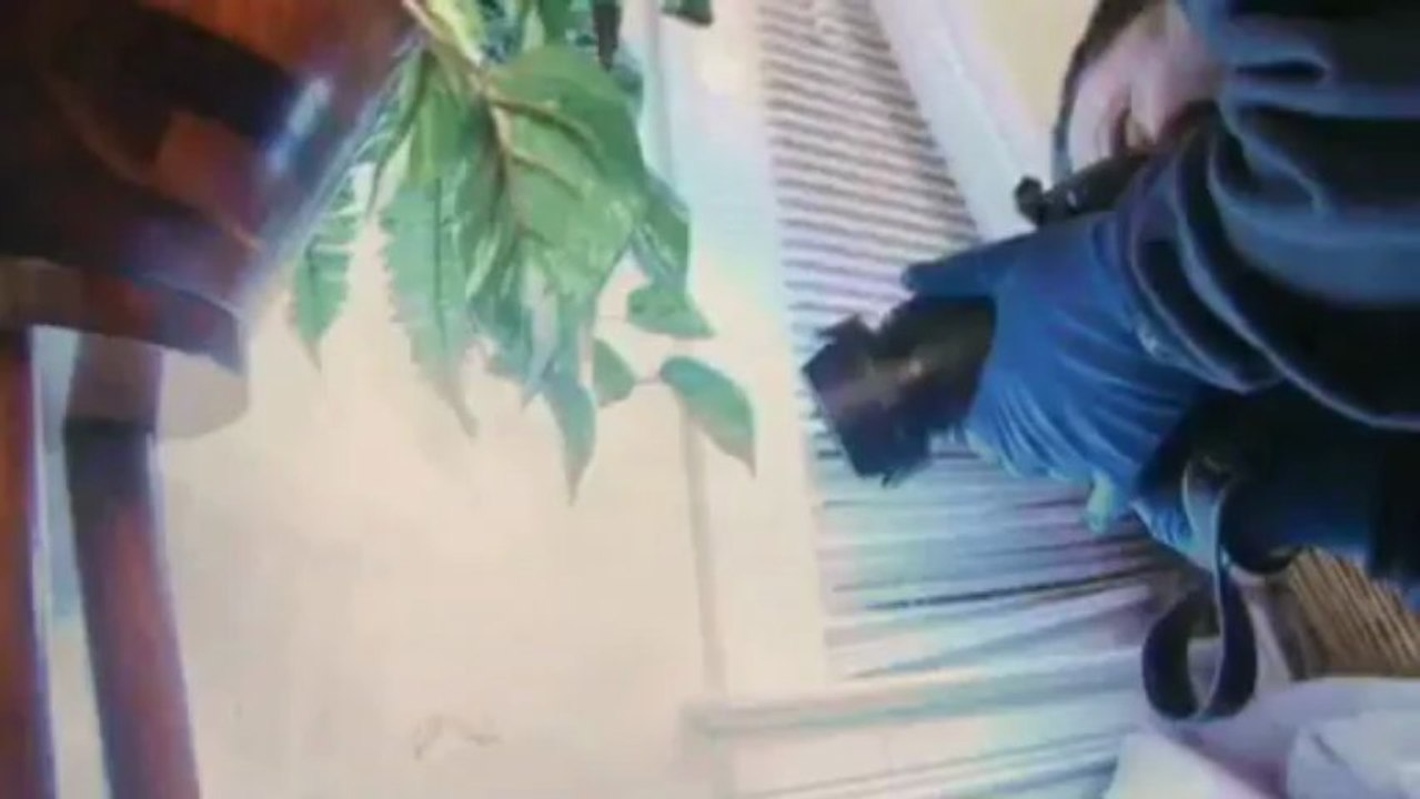 Crime 360 - Rage meurtrière