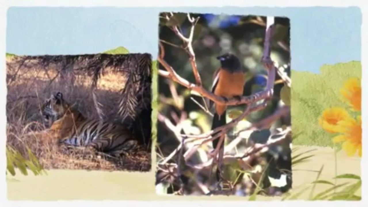 Welcome to Ranthambore National Park tour packages