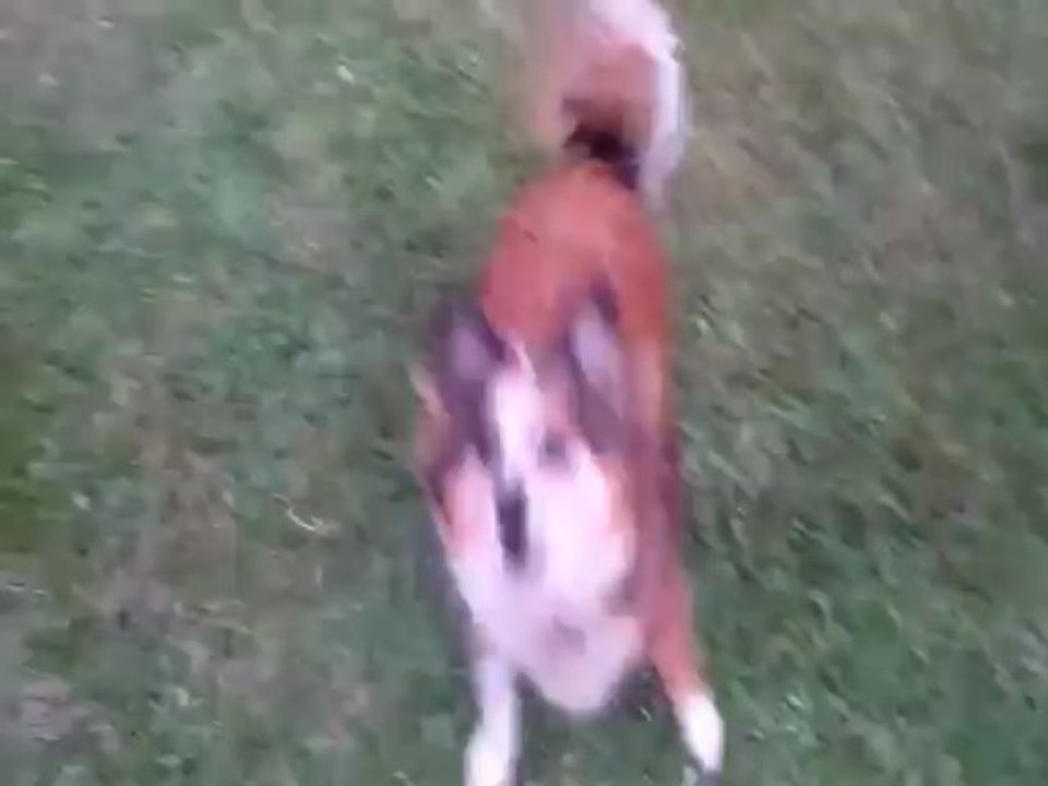 Testuj z Orange BlackBerry Q10 - film 1