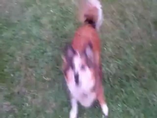 Testuj z Orange BlackBerry Q10 - film 1