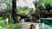 Le nom du zoo de Vincennes change t'il ? Les nouveaux tarifs, l'ouverture du Parc Zoologique de Paris Vincennes en avril 2014. Toutes les réponses avec Thomas Grenon