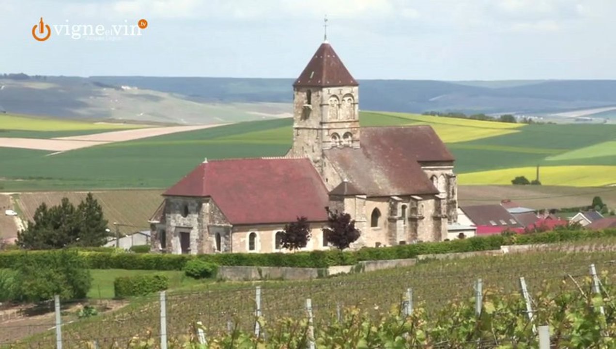 Visite du Champagne Pierre Gimonnet & Fils du Club Trésors de Champagne