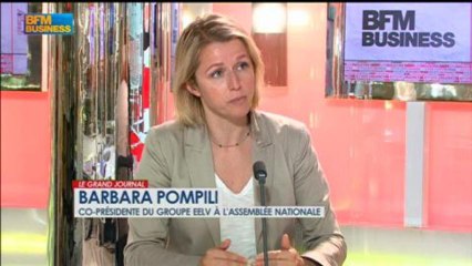 Barbara Pompili, co-présidente du groupe EELV à l’assemblée nationale, Le Grand Journal - 04/07 4/4
