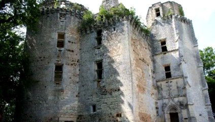Diamant Noir à Rouffifgnac - France Bleu Périgord