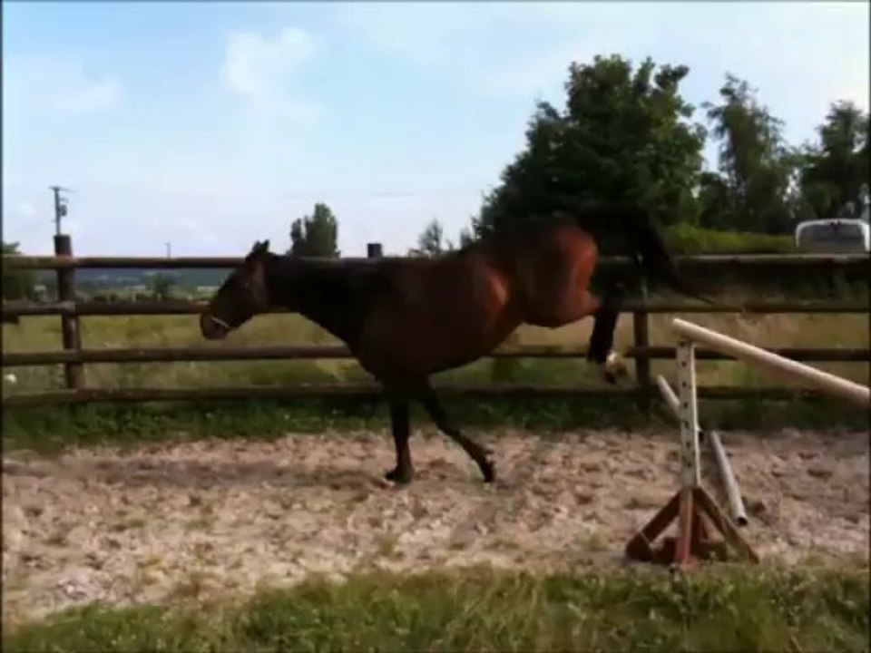 Vickers rond de longe barre