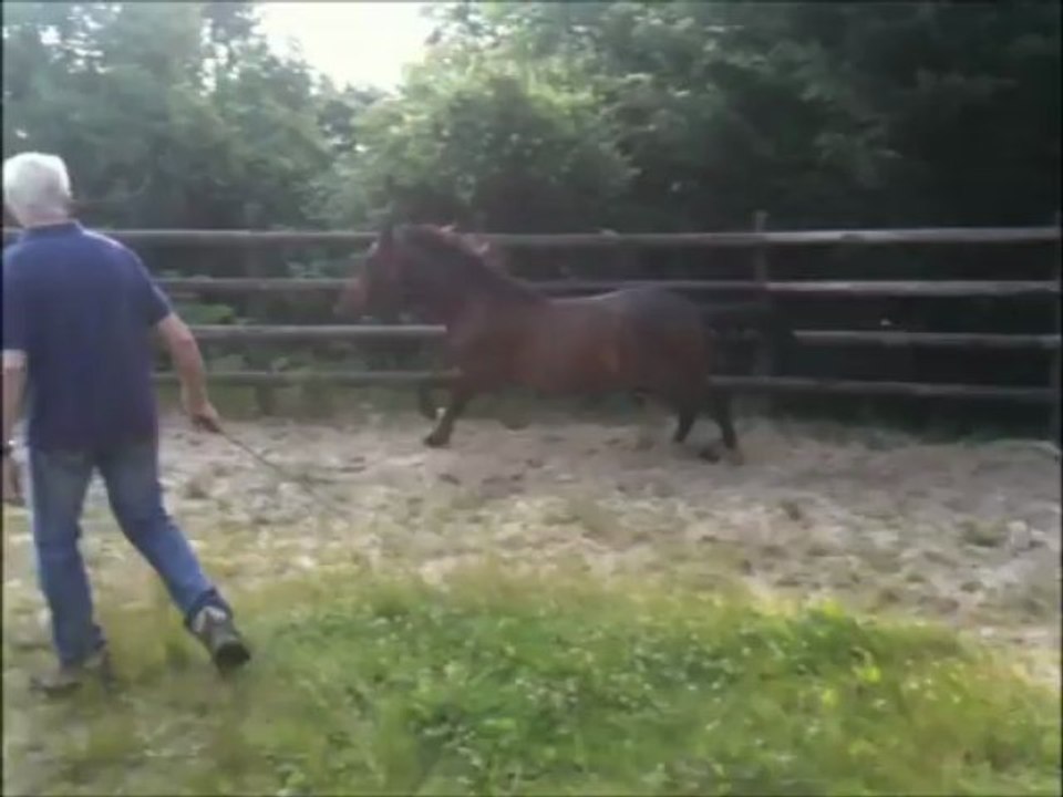 Vickers rond de longe barre