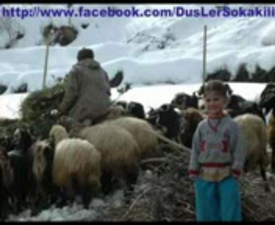 slm ben ROHat  tüm doslarımzı beklerız www.sesligonca.com