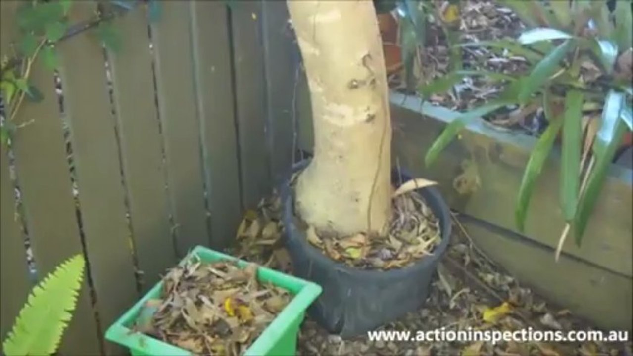 A stitch in time saves nine