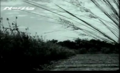 Pipara Ke Pata Sarike Dole Manva