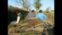 Plantation à la Ferme des Grands Noyers