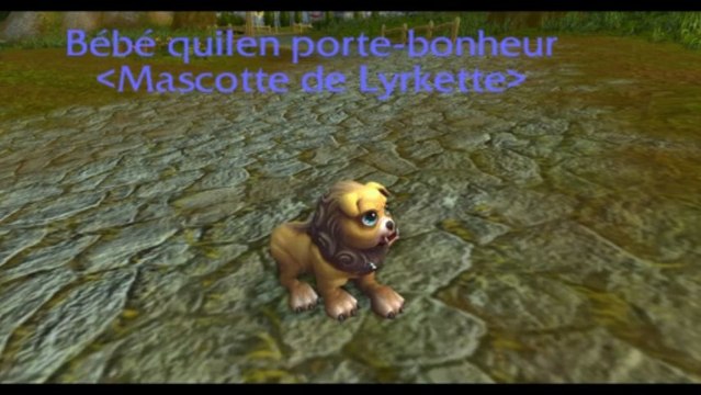 World of Warcraft Mists of Pandaria: Mascotte Bébé Quilen Porte-Bonheur -  Vidéo Dailymotion