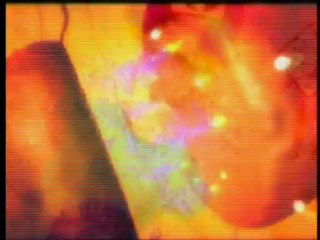 Age and Intelligence: What’s the Connection?