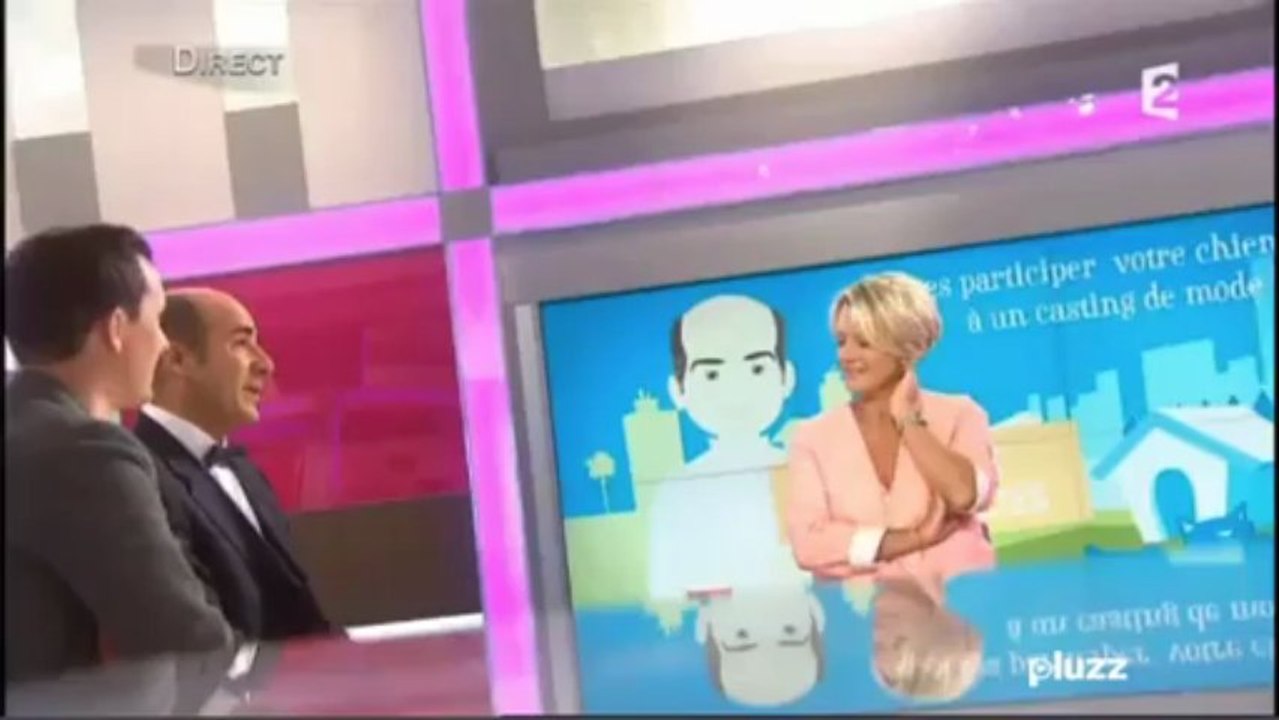 Défilé de mode canin Martin Sellier Expozoo 2013. Tendances pour les chiens 2013-2014