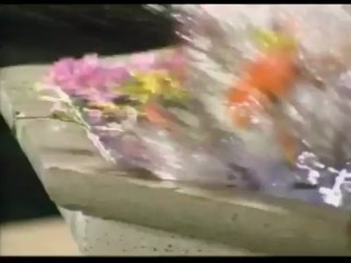 Mi Destino Eres Tu (You're My Destiny) English Trailer