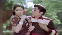 Sree Ranga Neethulu Songs - Gootikocchina Chilakaa - A.N.R, Sridevi - HD