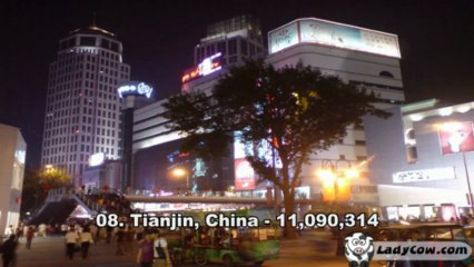 Top 10 Biggest cities in the world