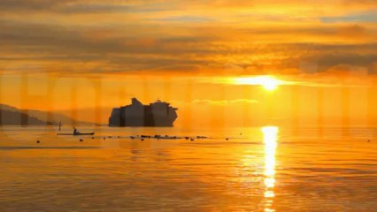 Beautiful Moments 🌸