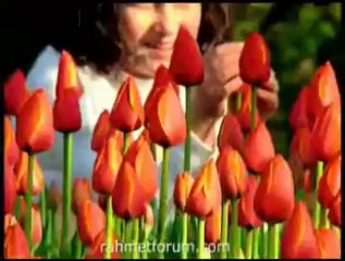 Ellerim Küçük Daha - Allah'ın Sıfatları