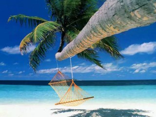 Mellow Right by The Electric Trunk