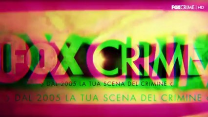 The Bridge - Dal 18 luglio su FoxCrime