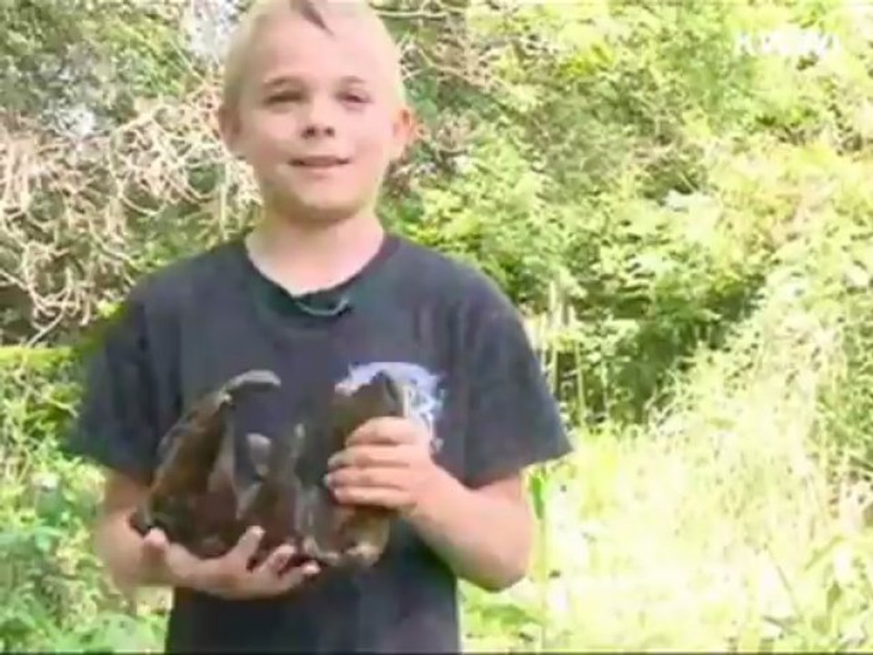 Niños encuentran el diente de un mastodonte de hace 20 millones en Estados Unidos