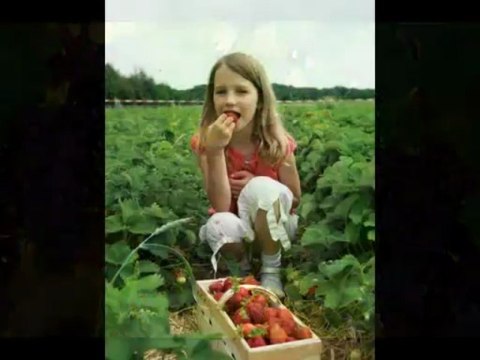 Majeka House Offers Luxury Accommodation in Stellenbosch with Ultra Modern Facilities