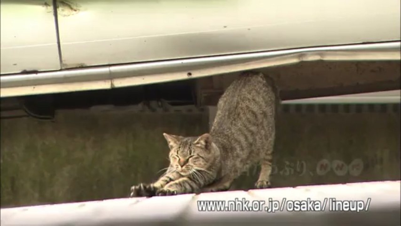 NHK関西たっぷりCM4秒